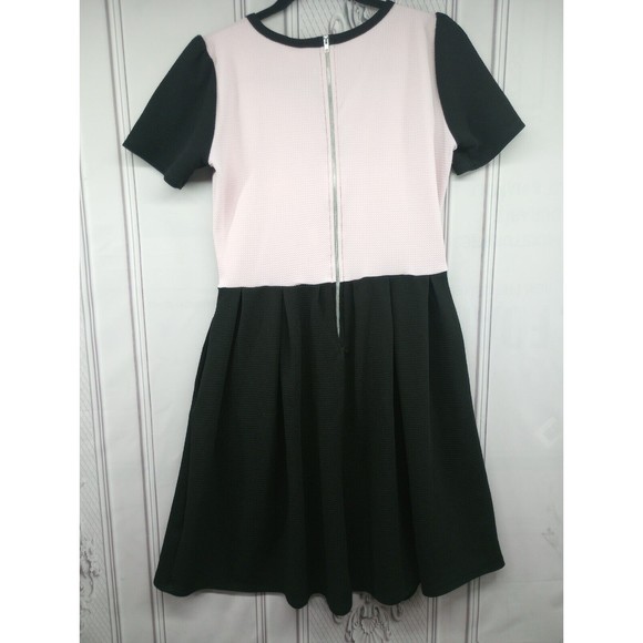 LuLaRoe Dress Womens Size M Pastel Pink & Black Fit & Flare Back Zipper Textured - Picture 16 of 16